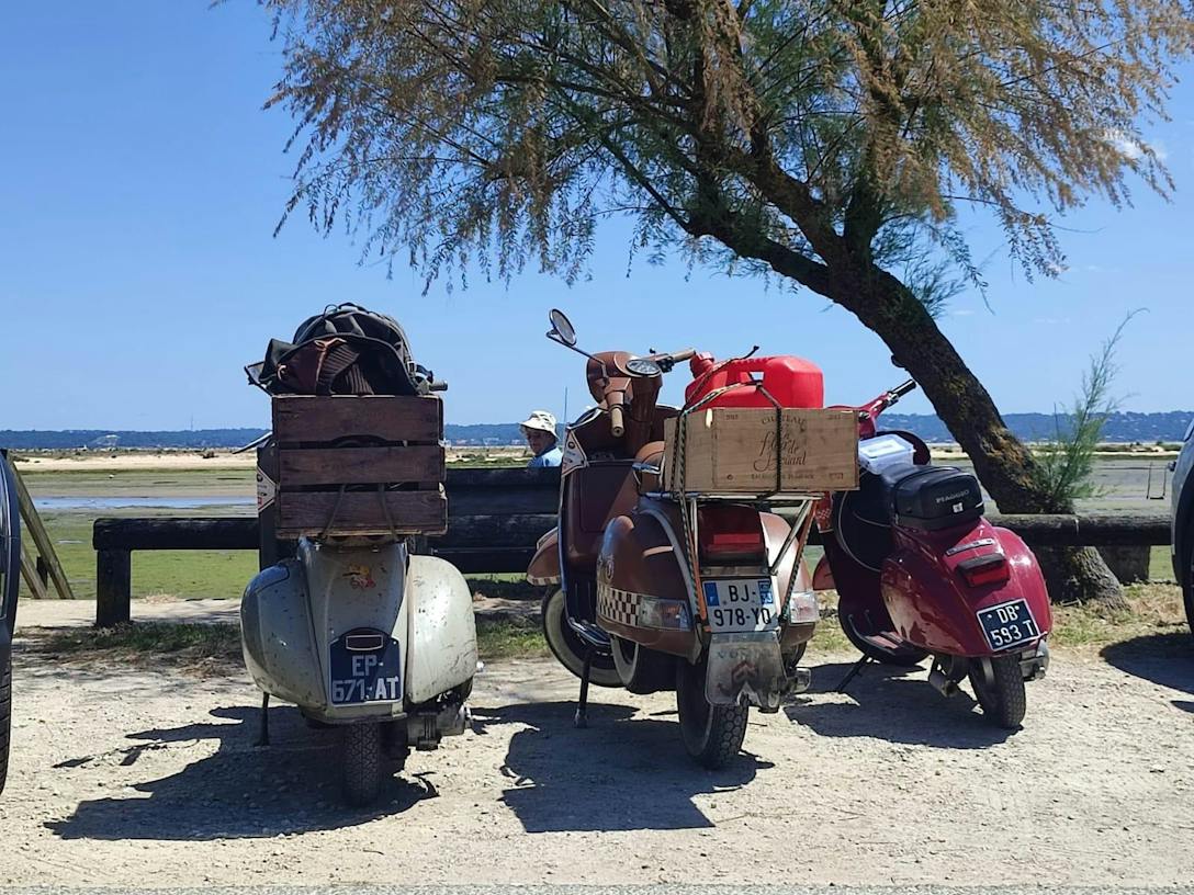 VESPA-CUB-DU-BASSIN-9