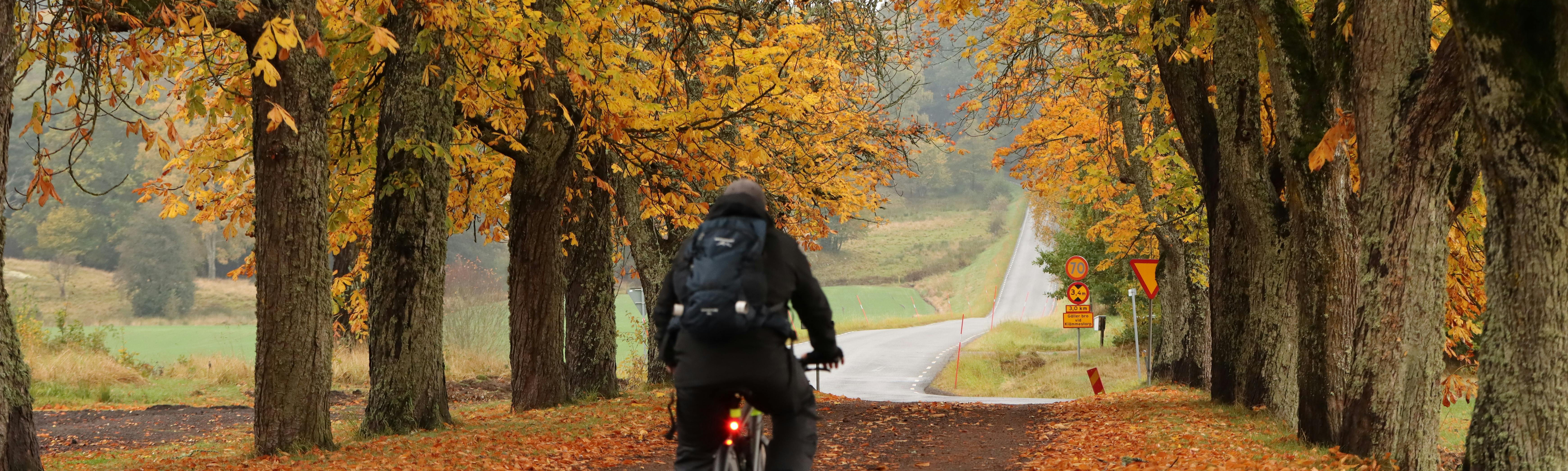 Mit dem E-Bike durch Spätsommer und Herbst